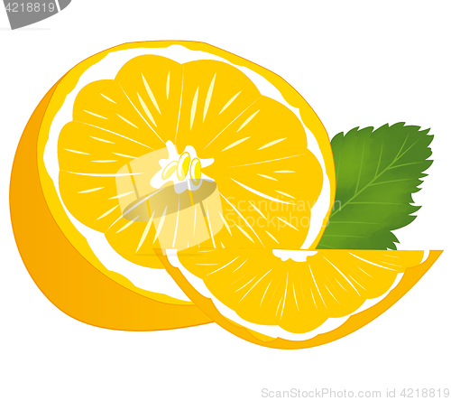 Image of Ripe fruit tangerine