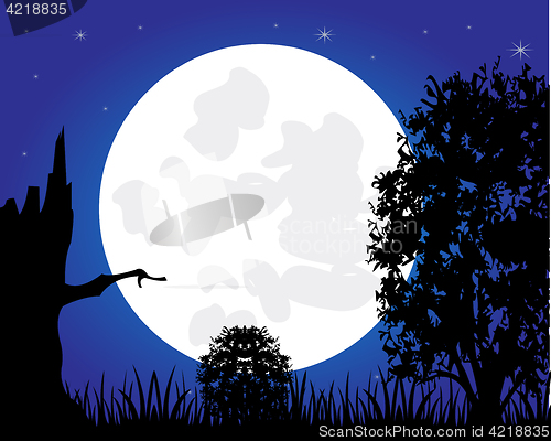 Image of Night and tree