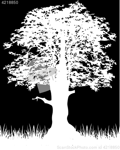 Image of Silhouette tree on black
