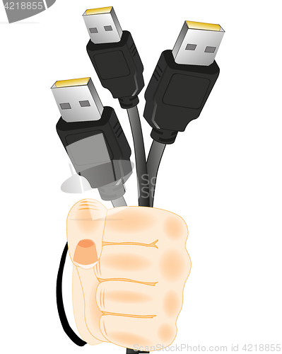 Image of Cables with connector in hand
