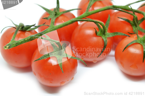 Image of Red cherry tomato