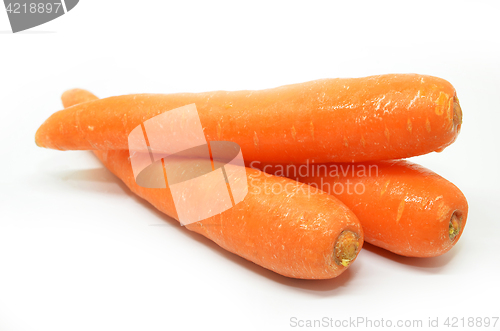 Image of Carrot isolated on white background