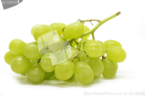 Image of Fresh green grapes