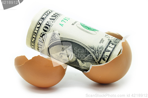 Image of US dollar on cracked egg