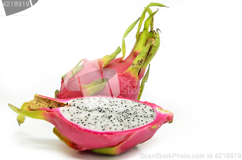 Image of Vivid and Vibrant Dragon Fruit