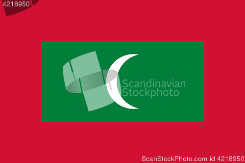 Image of Colored flag of Maldives