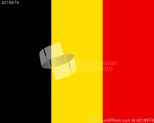 Image of Colored flag of Belgium