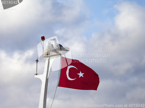 Image of Two seagull and Turkish flag on mast