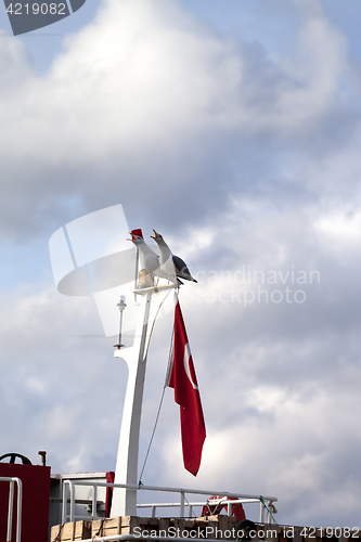 Image of Two seagull on boat mast with Turkish flag 