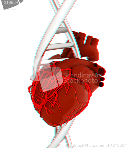 Image of DNA and heart. 3d illustration. Anaglyph. View with red/cyan gla