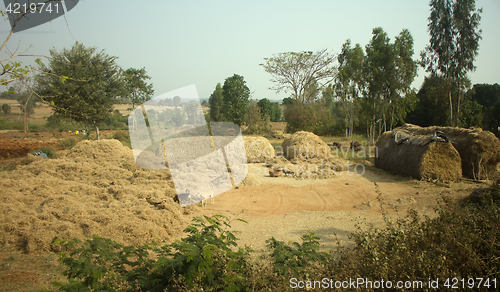 Image of Poor Indian household (farm) 2. Andhra Pradesh, Anantapur