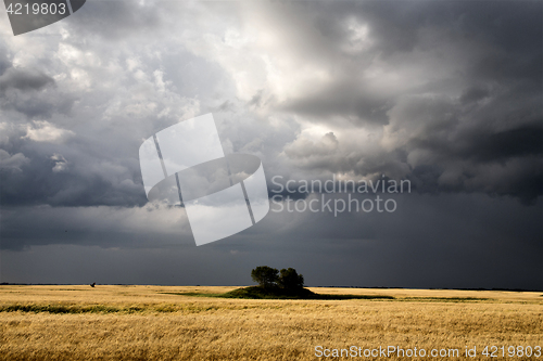 Image of Storm Clouds Saskatchewan