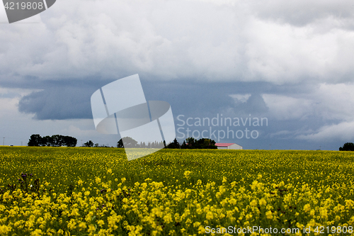 Image of Storm Clouds Saskatchewan