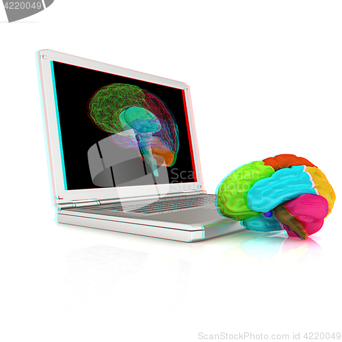 Image of creative three-dimensional model of real human brain and scan on