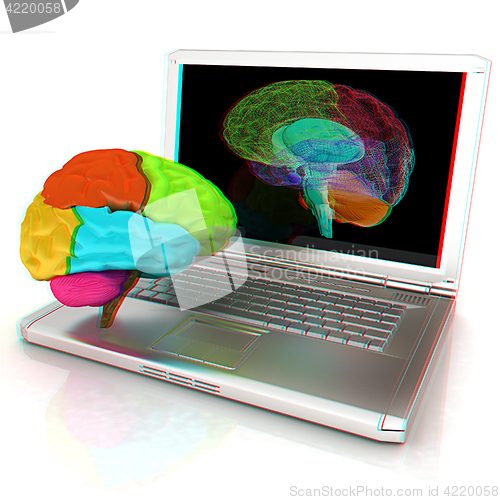 Image of creative three-dimensional model of real human brain and scan on