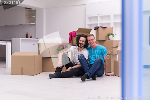 Image of young  gay couple moving  in new house