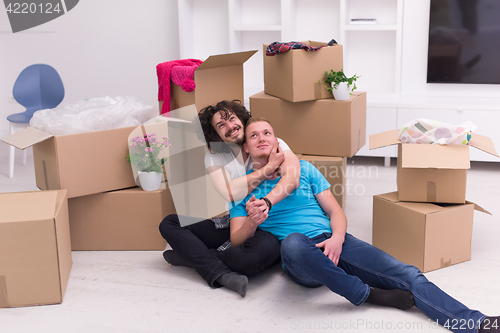 Image of young  gay couple moving  in new house