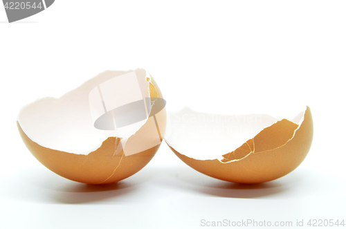 Image of Broken egg shell