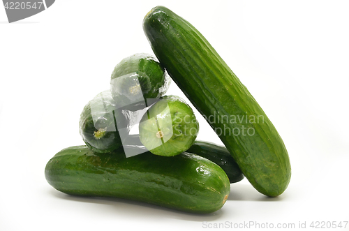 Image of Fresh cucumbers isolated