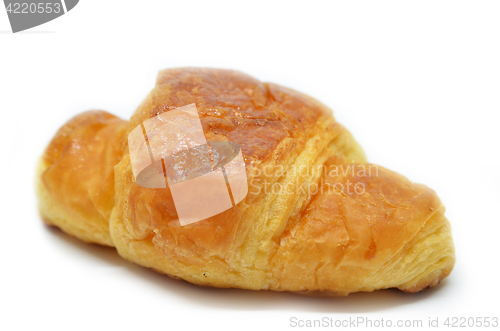 Image of Fresh baked croissant 