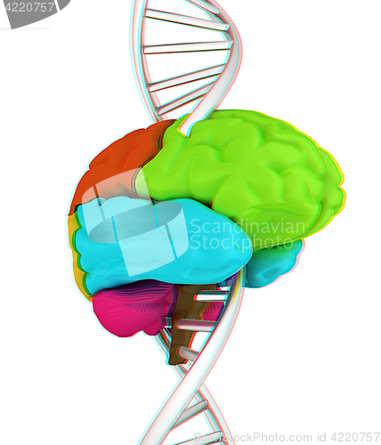 Image of Brain and dna. 3d illustration. Anaglyph. View with red/cyan gla