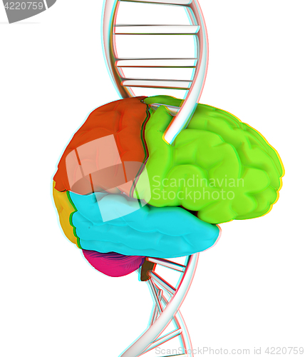 Image of Brain and dna. 3d illustration. Anaglyph. View with red/cyan gla