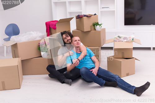 Image of young  gay couple moving  in new house