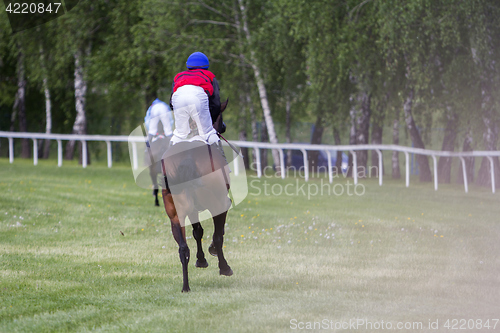 Image of Race horses and jockeys during a race