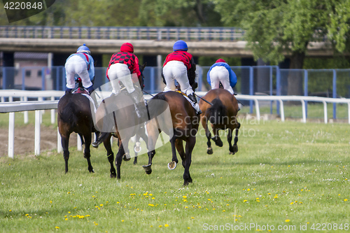 Image of Race horses and jockeys during a race