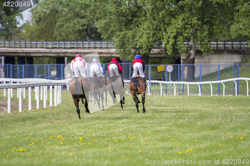 Image of Race horses and jockeys during a race