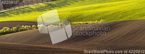 Image of Spring landscape with field