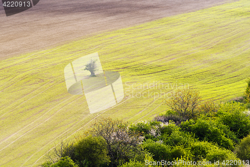 Image of Spring fields