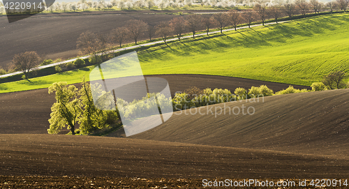 Image of Spring landscape with field