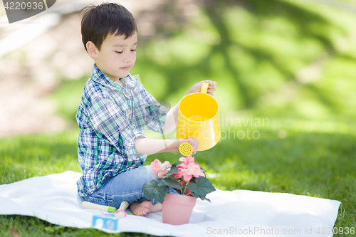 Image of Mixed Race Young Boy Watering His Potted Flowers Outside On The 