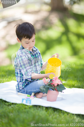 Image of Mixed Race Young Boy Watering His Potted Flowers Outside On The 