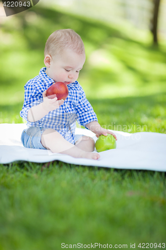 Image of Mixed Race Infant Baby Boy Sitting on Blanket Comparing Apples t