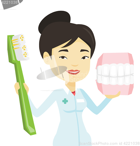 Image of Dentist with dental jaw model and toothbrush.