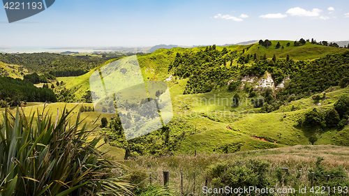 Image of typical landscape in north New Zealand