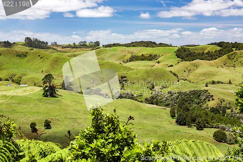 Image of typical landscape in north New Zealand