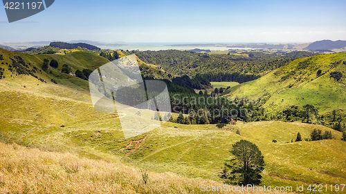 Image of typical landscape in north New Zealand