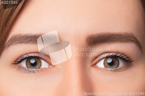 Image of Closeup shot of woman eye with day makeup