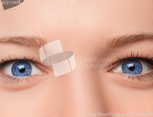 Image of Closeup shot of woman eye with day makeup