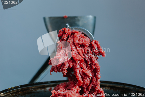 Image of Meat in mincing machine