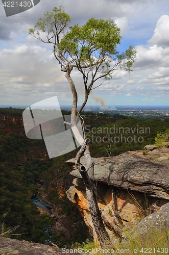 Image of Glenbrook Gorge Australia