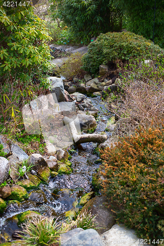 Image of Spring brook in Botanical garden