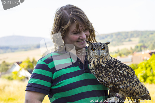 Image of Collared Scops Owl sitting on the hand of animal keeper