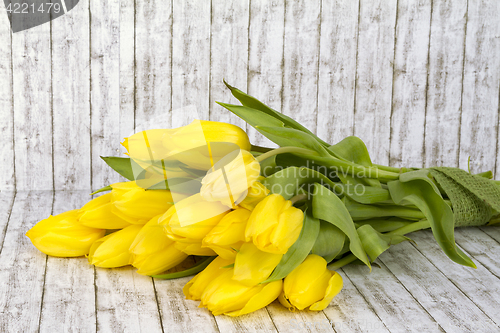 Image of Beautiful yellow tulips