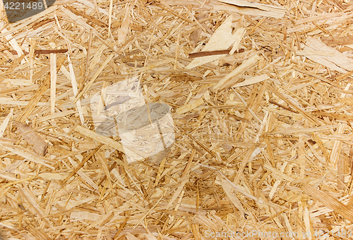 Image of Chipboard