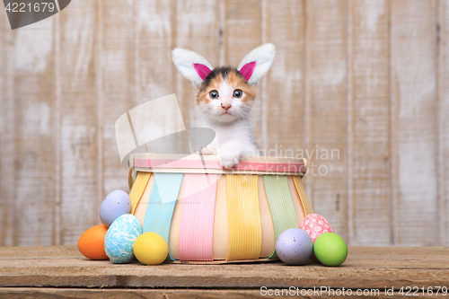 Image of Adorable Kitten Inside an Easter Basket Wearing Bunny Ears