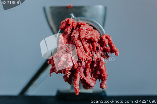 Image of Meat in mincing machine